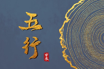 算命紫微斗数,紫微天魁星,详细命盘解析,周清河紫微斗数,八卦命盘查询