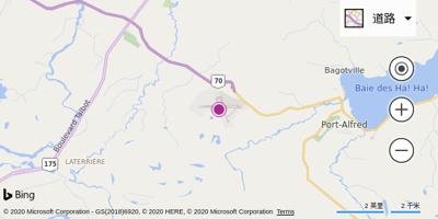 巴戈特维尔机场