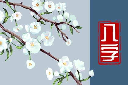 黄历查八字,易百查排盘八字,算命八卦,八字命排盘免费,命八字排盘