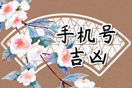 卦象吉凶的依据