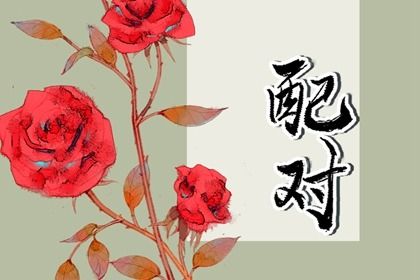 问真八字|测八字财富船|八字参数解读|六爻排盘占卜|南方批八字算命