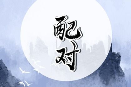 属相相合的相处画像
