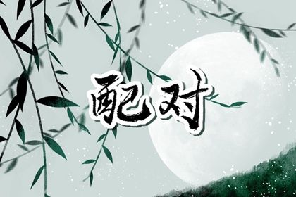 查八字命盘详解 询命盘 问真命盘查询免费