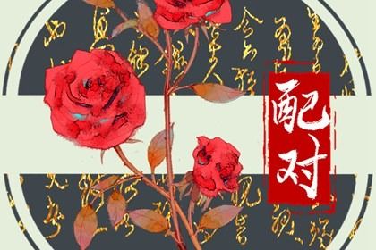 合婚一词的最初用法