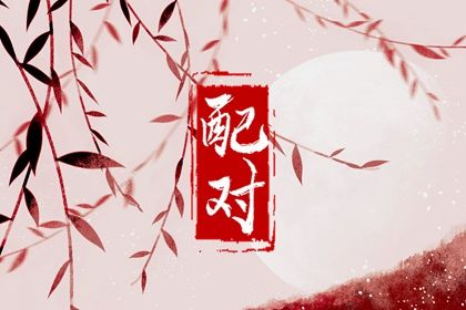 日干相克的常见误区