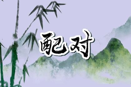 星宿一栏怎么看