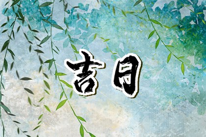 成日只办大事吗