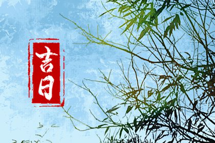 宜忌表怎么看懂