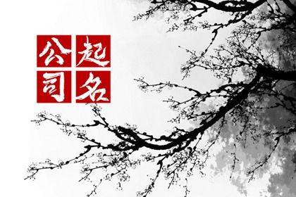 数理取名容易走偏在哪