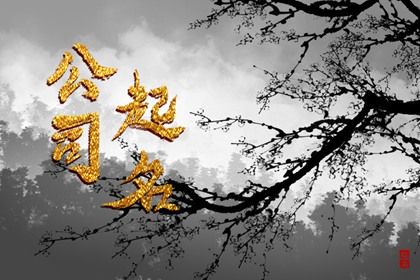商标能不能带数字符号