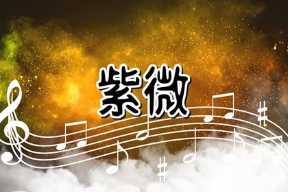 北派南派差在哪