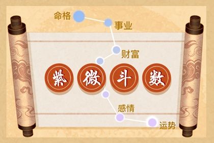 如何读本页结果