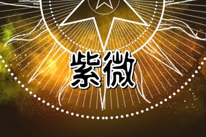 星宿动物象征什么